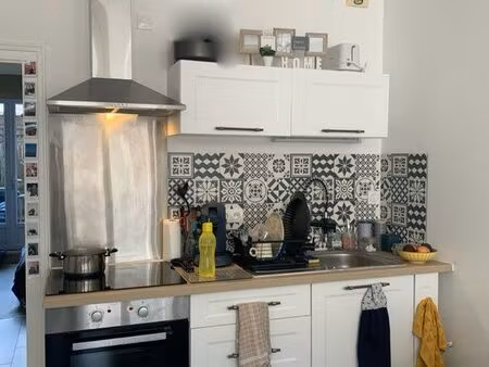 appartement rénové plein centre