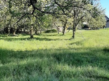 vends grand terrain constructible le breuil 71670