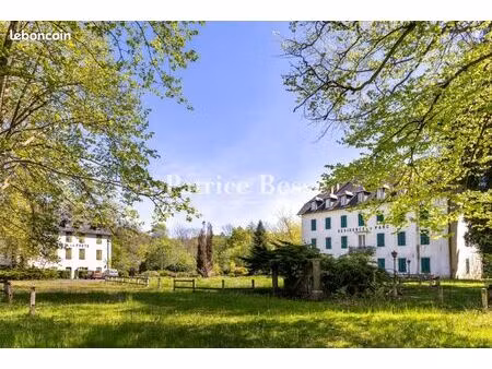 maison 20 pièces 7 000 m²