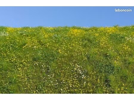 recherche terrain agricole