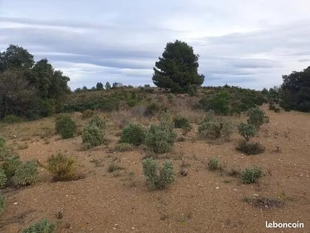 terrain agricole 10 000 m² torderes