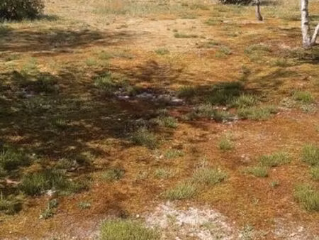 terrain constructible