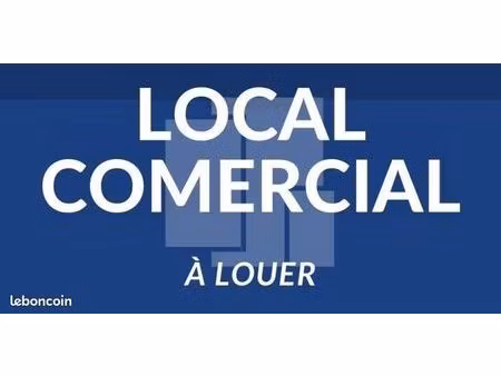 local professionnel 138 m² avec vitrine