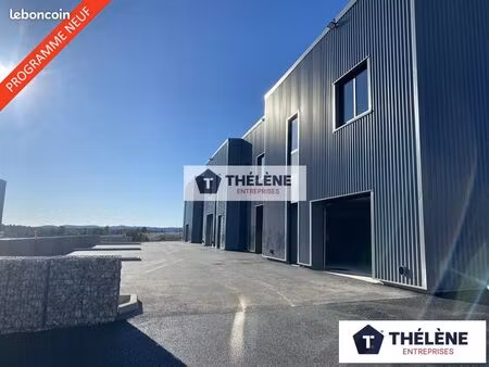 local d'activite 3497 m² vailhauques