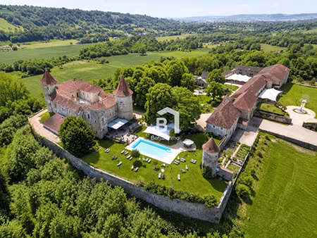 château à vendre dans le quartier cordeliers-célestins-bourse