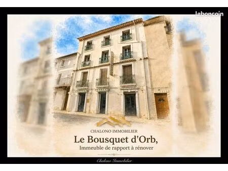 murs commerciaux 426 m² le bousquet-d'orb