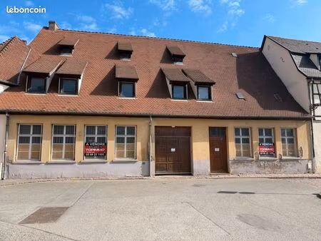 immeuble 450 m² colmar