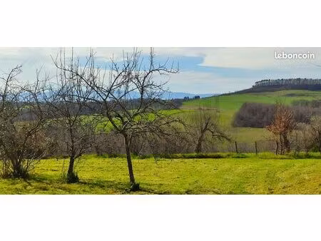 terrain constructible