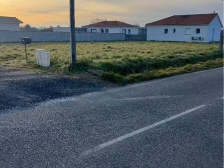 terrain constructible