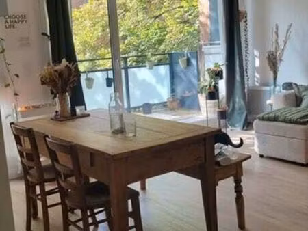 magnifique appartement t2