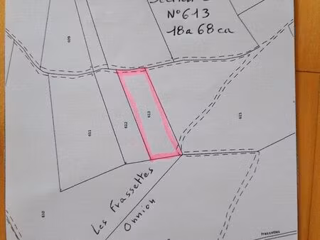 terrain forestier