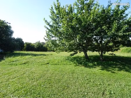 terrain constructible