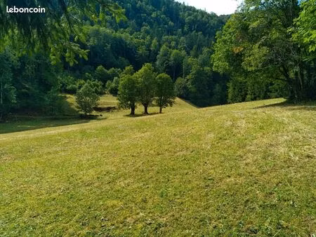 terrain agricole d'alpage