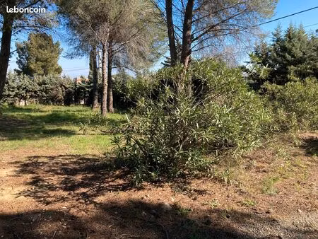 vente terrain constructible hors lotissement