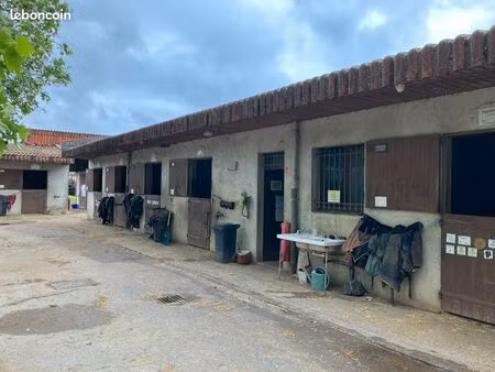 centre équestre clé en main – vendée – proche forêt de mervent