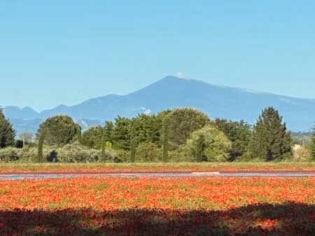 propriété agricole