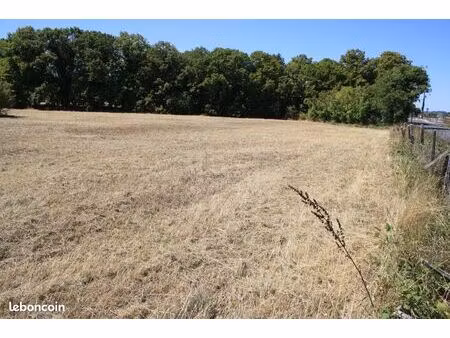 terrain constructible 5 762 m2 avanton (86170)