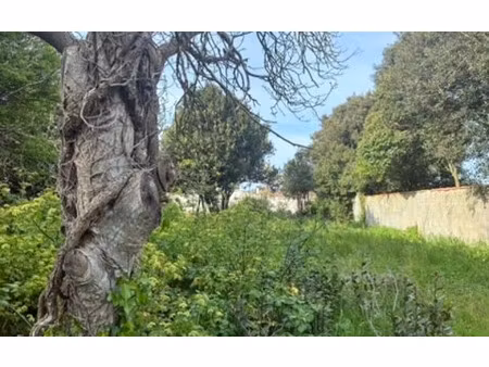 terrain loix m² t- à vendre  540 600 €
