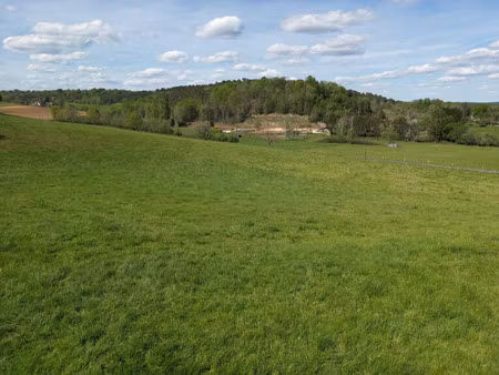 terrain à vendre quinsac 53320m2 29 800€
