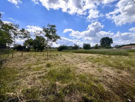 terrain constructible