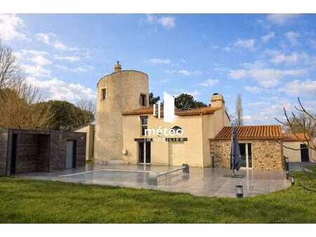 vente maison piscine à sainte-foy (85150) : à vendre piscine / 300m² sainte-foy