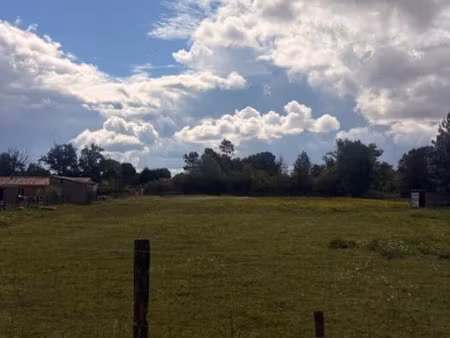 vente terrain 4300 m² à chamadelle (33230)  39 000 €