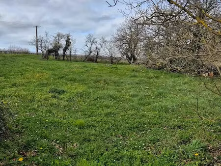 vente terrain 1000 m² à lignières-sonneville (16130)  19 500 €