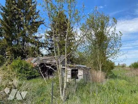 vente terrain 2380 m² à prunay (51360)  53 500 €