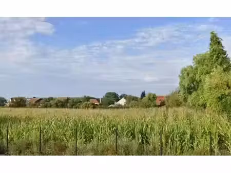 vente terrain 551 m² à hantay (59496)  190 000 €