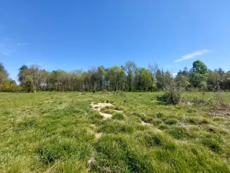 vente terrain 1000 m² à vacquiers (31340)  85 000 €