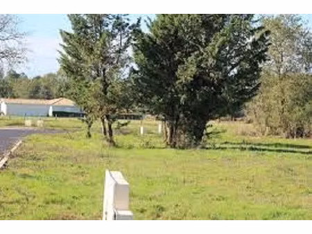 vente terrain 326 m² à belin-béliet (33830)  105 000 €