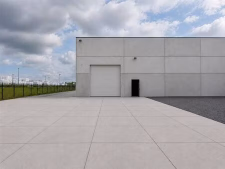 surface industrielle à louer à boomschorsweg 11 balen (rbv88650)