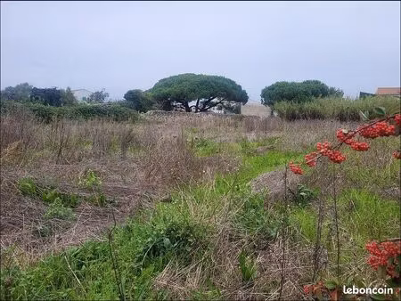terrain 1240 m² sainte-marie-de-ré