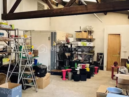 vente locaux professionnels 3 pièces 100 m² à morestel (38510)  215 000 €