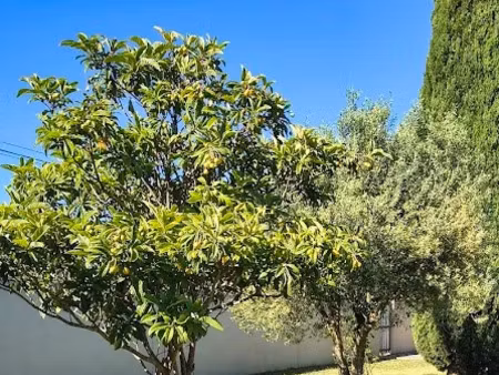 vente terrain à construire 348 m² entraigues-sur-la-sorgue (84320)
