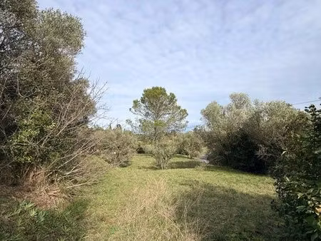terrain 2000m2
