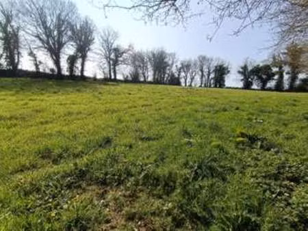 vente terrain à plounévez-quintin (22110) : à vendre / 4710m² plounévez-quintin