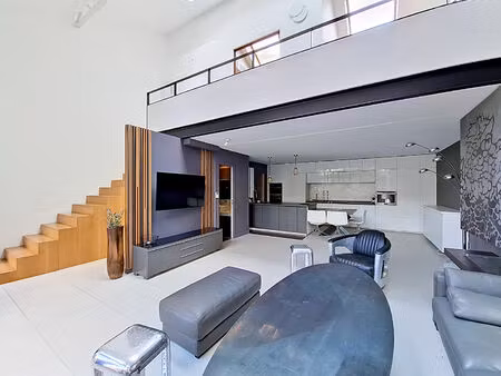 location meublée - loft avec terrasse à cachan