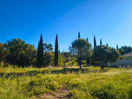vente terrain à construire 1500 m² cabrières-d’avignon (84220)
