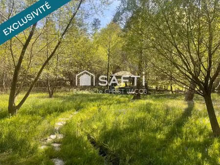 vente terrain 10690 m² wingen (67510)