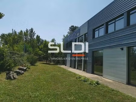 location local d’activités echirolles 38130 378m² à 781m²