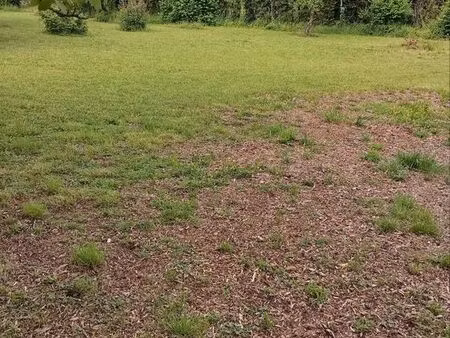 terrain viabilisé