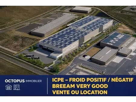 location entrepôt montbartier 82700 19151m²