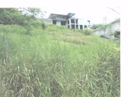 av terrain à bâtir 922 m2 97228 sainte luce lieudit deville 