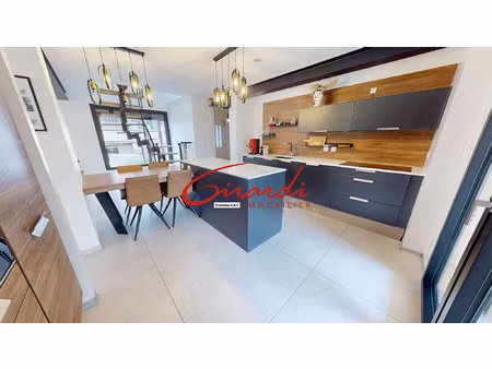 secteur altkirch  maison individuelle de 164m2 sur 4 68ares 