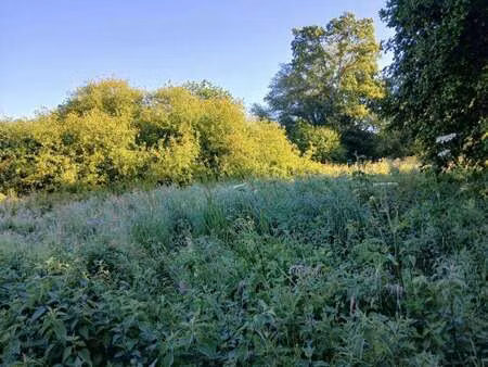 vente terrain à persquen (56160) : à vendre / 3216m² persquen