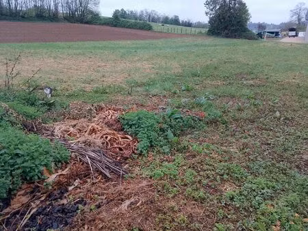 superbe terrain constructible de 800m2