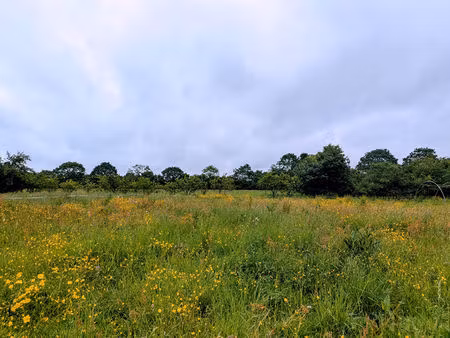 terrain 521 m2 treillieres