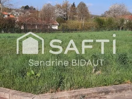 libre constructeur  terrain à bâtir de 1027 m²  viabilisé  secteur saint trivier de courte
