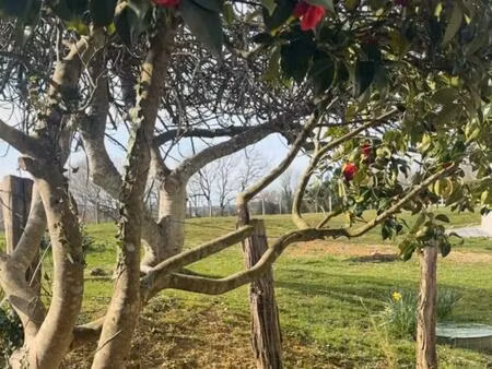 t4 jardin avec travaux et vue dégagée sur le pays basque